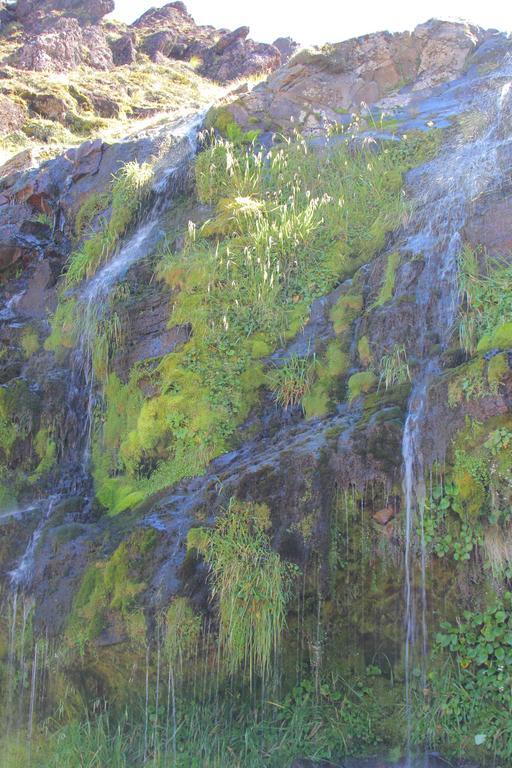 Tongariro Adventures Bed & Breakfast Kuratau Luaran gambar
